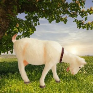 Садовая фигура Козочка наклонившаяся, 36х55 см.