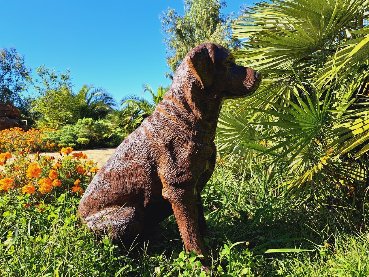 Садовая фигура собака Лабрадор шоколадный 65 х 54 см — изображение 3