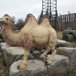 Садовая фигура Верблюд, 48х57 см.