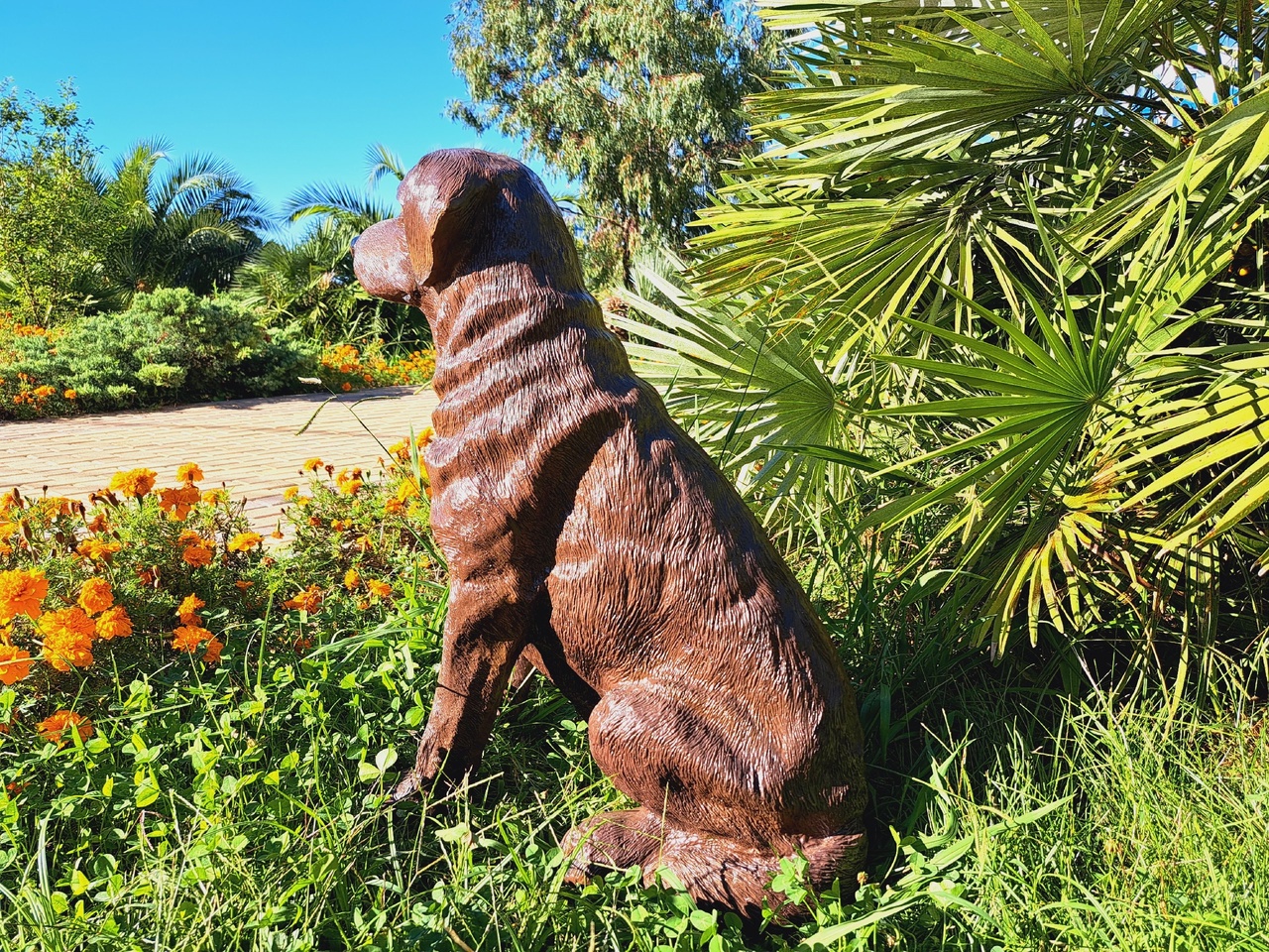 Садовая фигура собака Лабрадор шоколадный 65 х 54 см — изображение 4