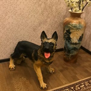 Садовая фигура собака Овчарка, 60х30см.