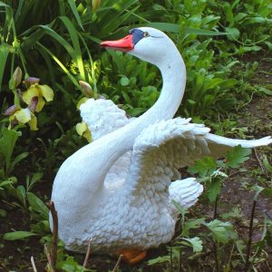 Садовая фигура Лебедь с расправленными крыльями, 49х44 см.