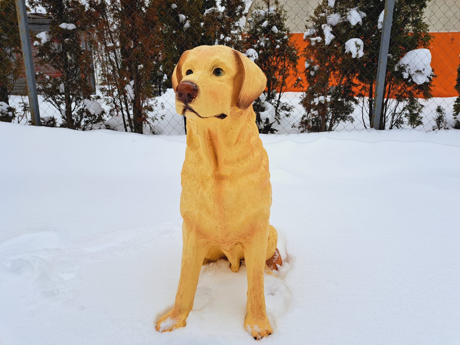 Садовая фигура собака Лабрадор, 65х54 см. — изображение 2