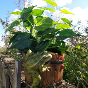 Зоокашпо Лягушка на кадке