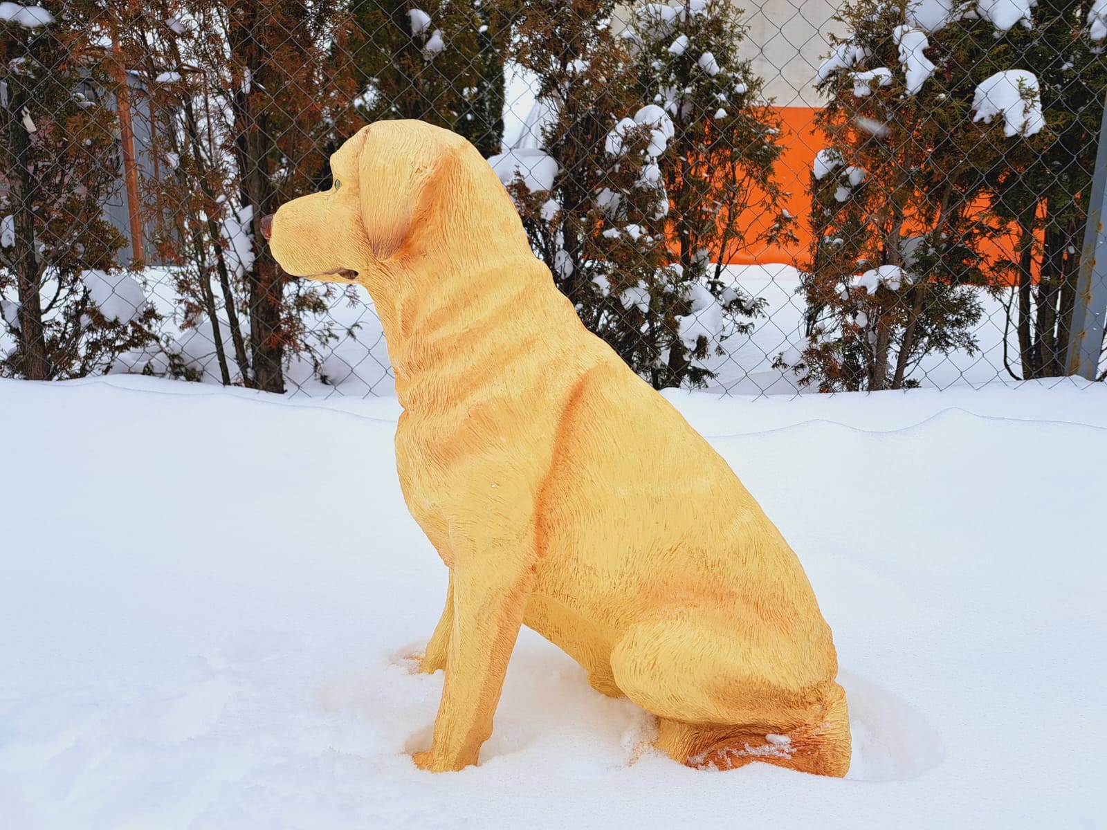 Садовая фигура собака Лабрадор, 65х54 см. — изображение 3