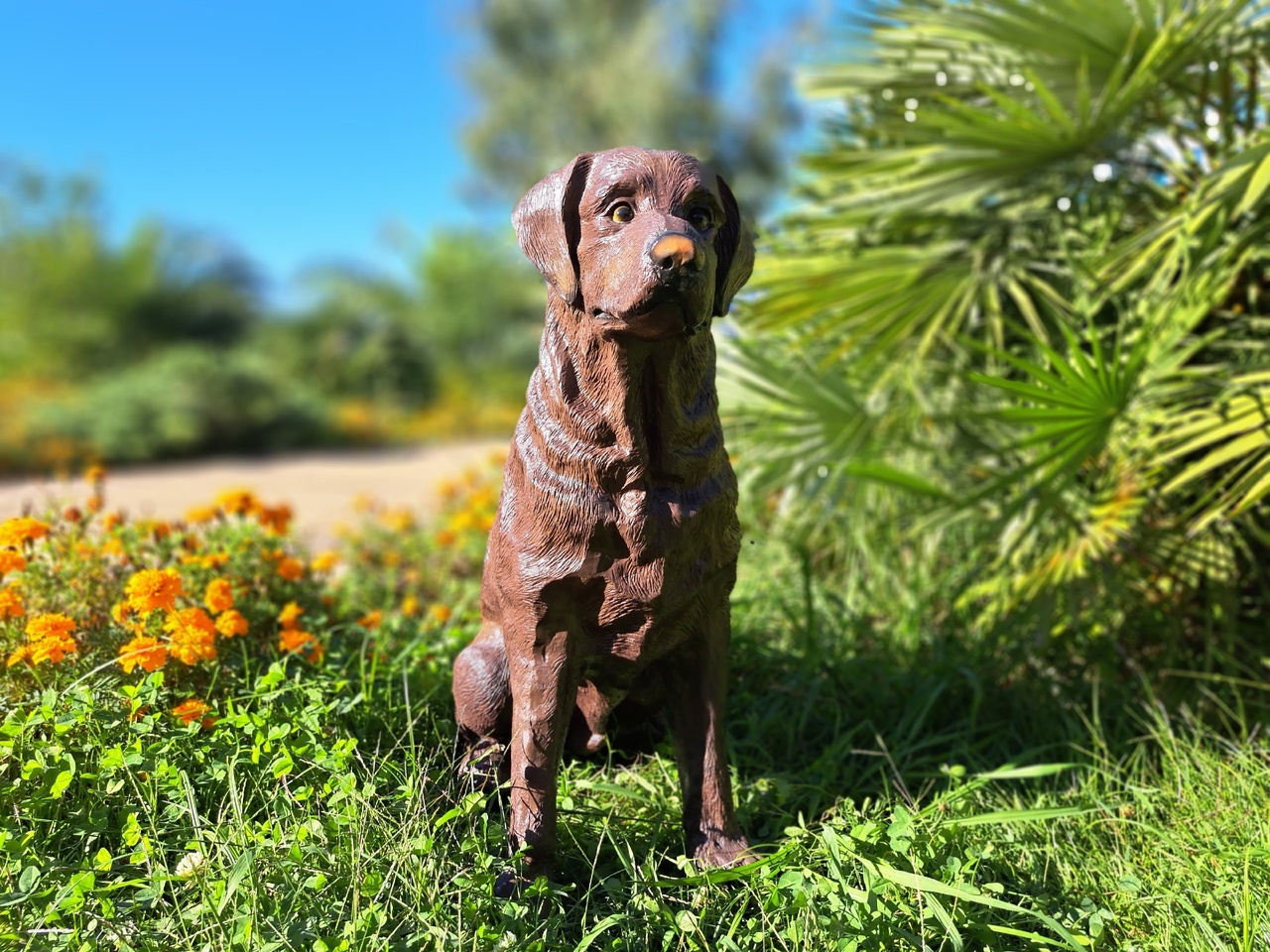 Садовая фигура собака Лабрадор шоколадный 65 х 54 см
