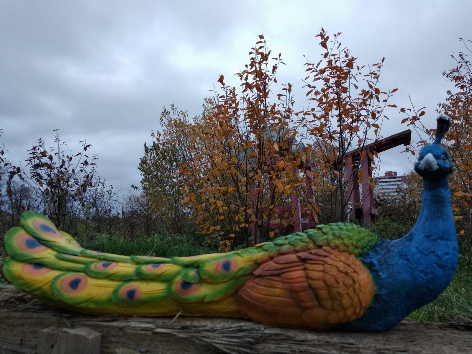 Садовая фигура Павлин сидячий, 75х30 см. — изображение 2