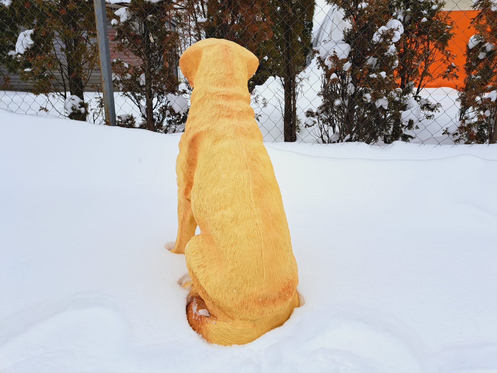 Садовая фигура собака Лабрадор, 65х54 см. — изображение 4