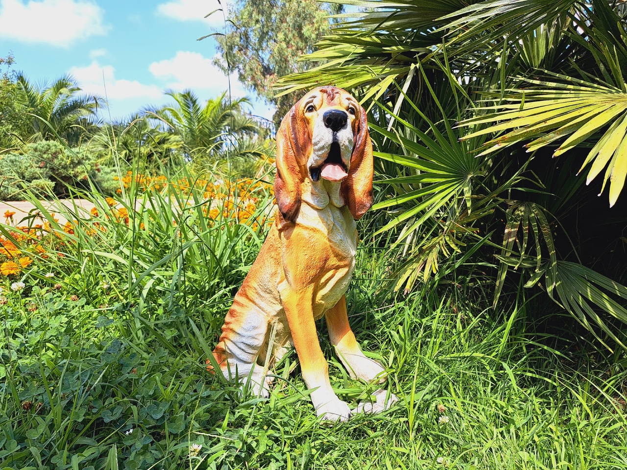 Садовая фигура собака Бладхаунд, 59х32 см. — изображение 2