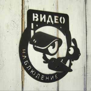 Табличка Видео наблюдение 30х29 см