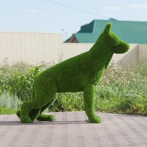 Топиари овчарка 120x130x35 см