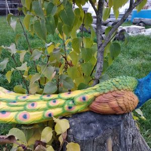 Садовая фигура Павлин сидячий, 75х30 см.