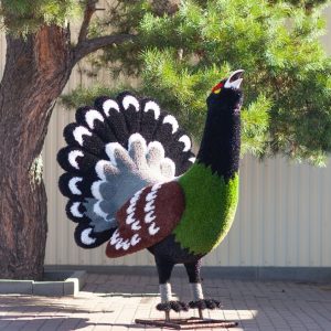 Топиари фигура Глухарь, 150x110x120 см