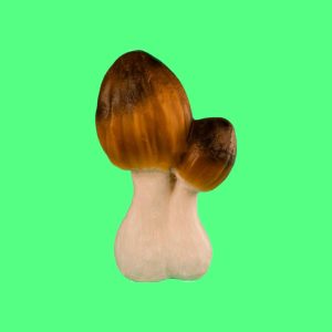 Садовая фигура Два сморчка, 34х24 см.