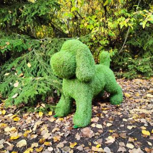 Топиари Собака Бигиль 93х30х85 см