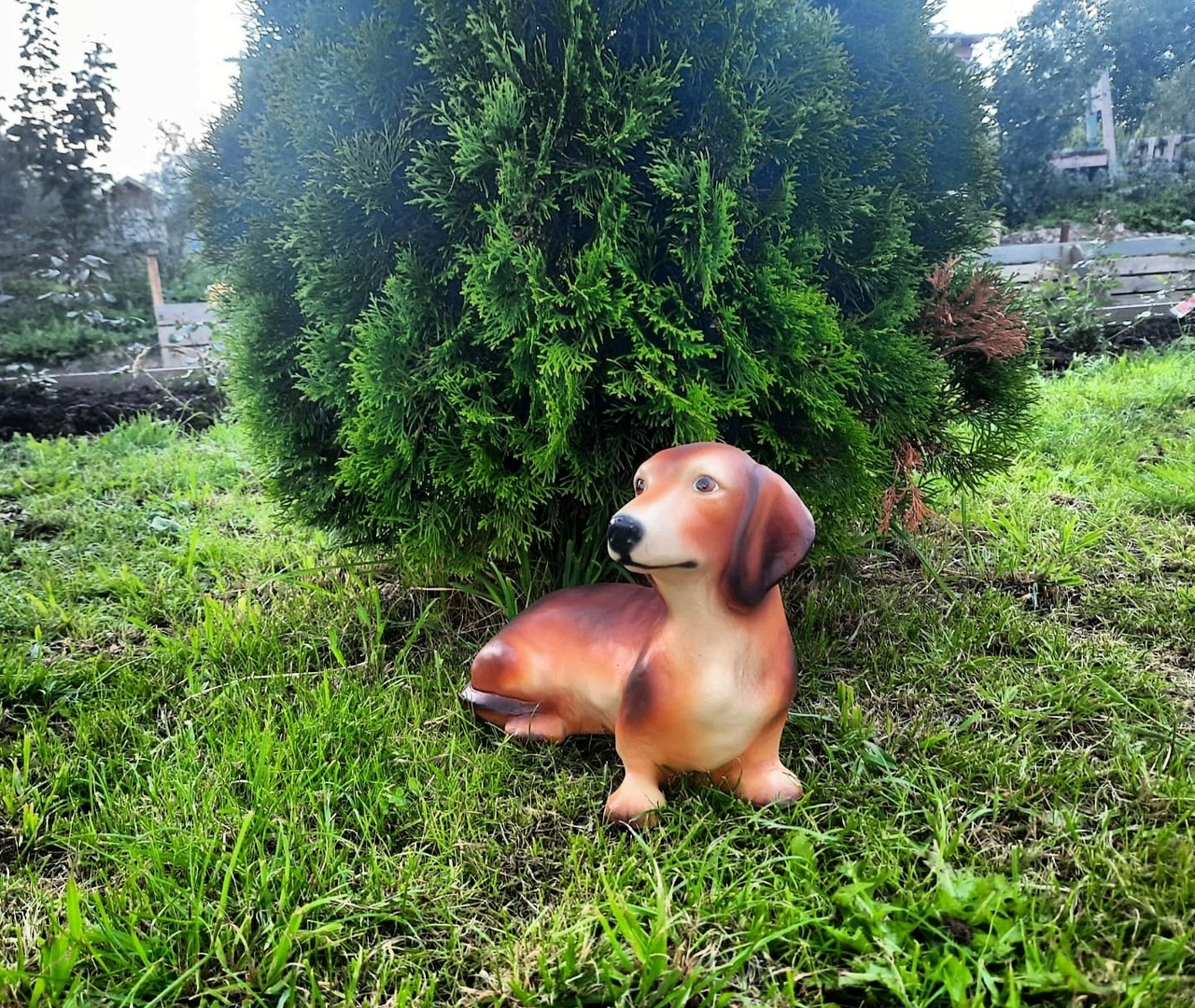 Садовая фигура собака Такса, 27х34 см. — изображение 3