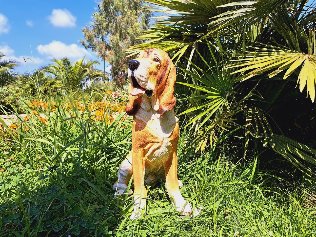 Садовая фигура собака Бладхаунд, 59х32 см. — изображение 3