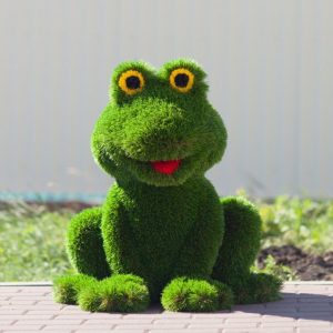 Топиарная фигура лягушка, 80x70x60 см
