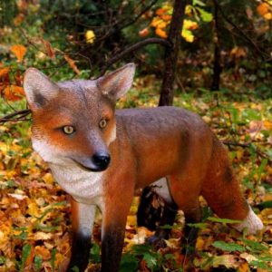 Скульптура Лисица 50х90х30 см