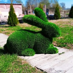 Топиари Зайчонок 80х90х50 см