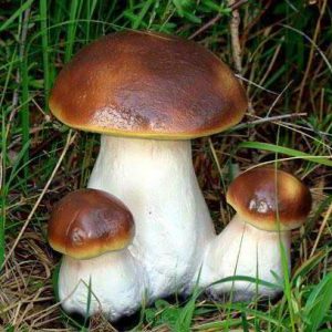 Садовая фигура Три боровика, 21х23 см.