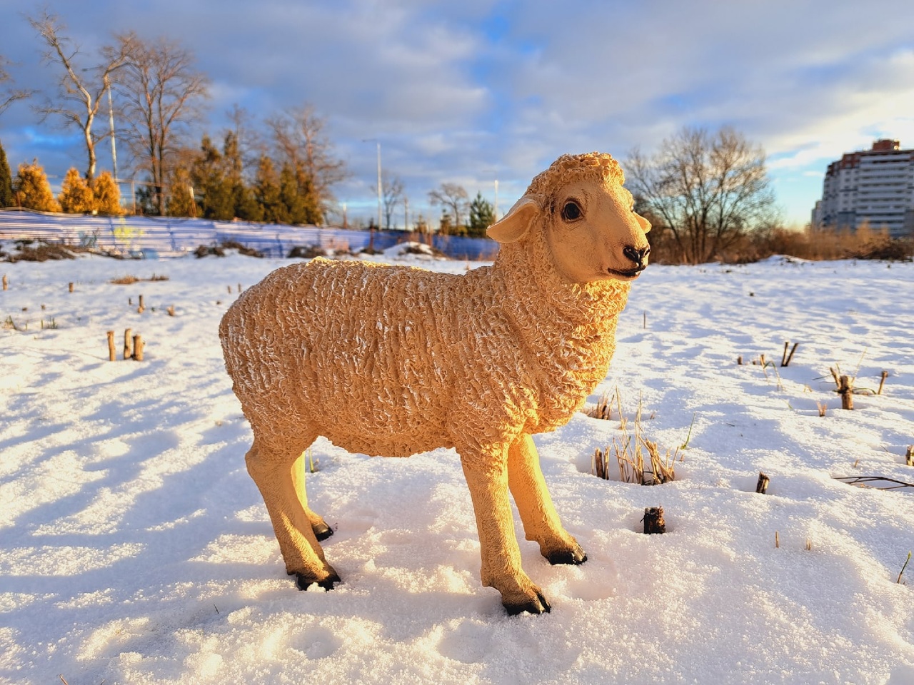 Садовая фигура овечка 48 х 45 см.