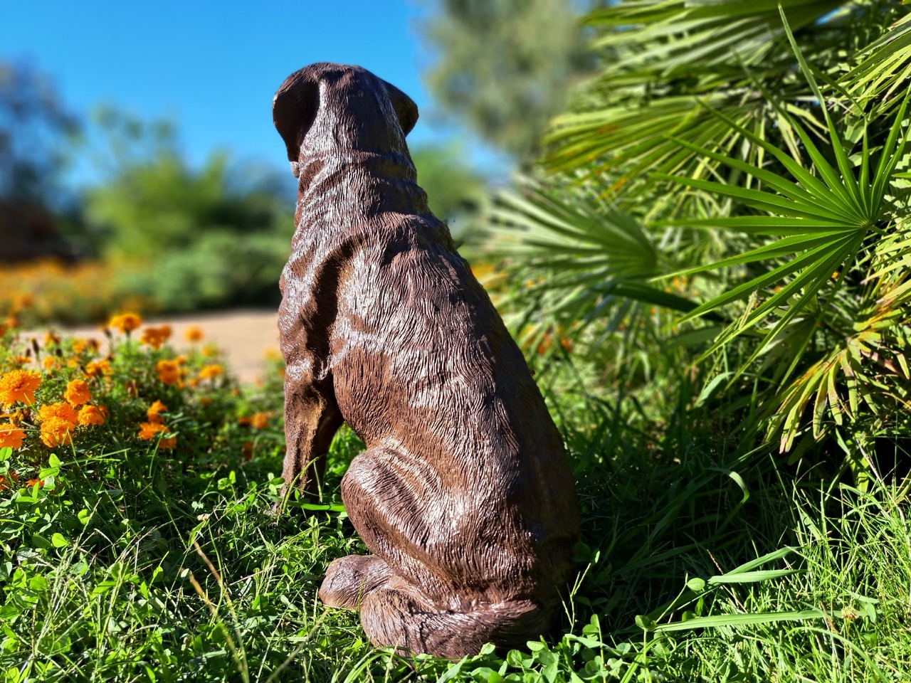 Садовая фигура собака Лабрадор шоколадный 65 х 54 см — изображение 5