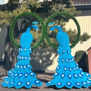 Топиари павлины в кольце, 220x155x75 см.