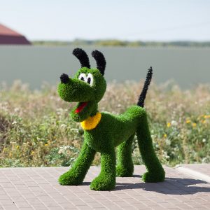 Топиарная фигура Плуто, 100 х 125 см.