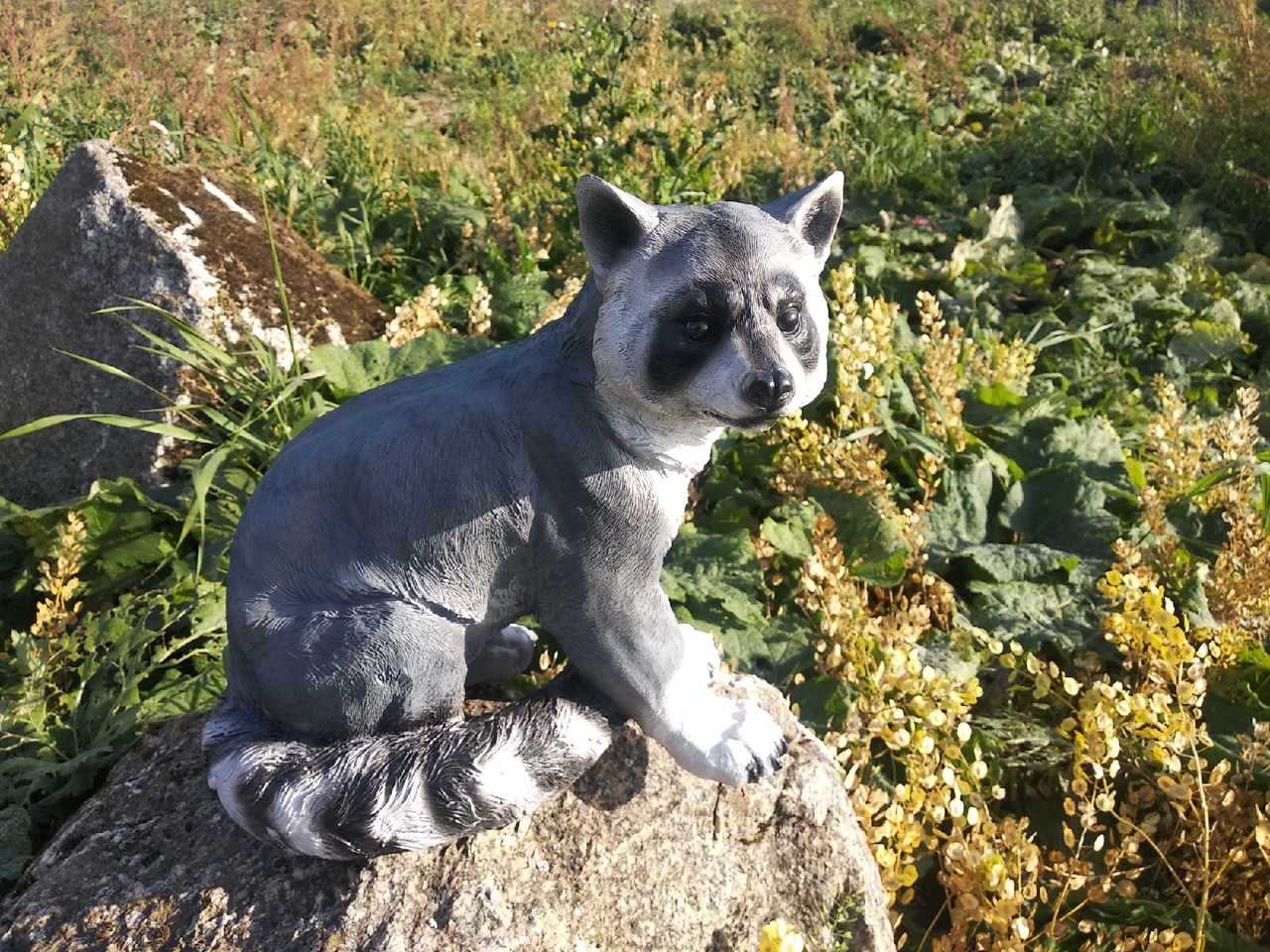 Садовая фигура Енот, 60х20х25 см. — изображение 2