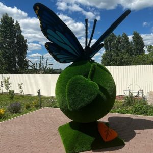 Топиари Бабочка на яблоке Морфо 300x170x170 см