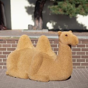 Топиари Верблюд лежит, 110x90x210 см