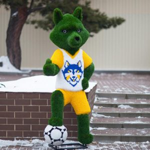 Топиари волк с мячом 200x95x75 см